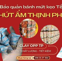 3 Gói hút ẩm Clay OPP Thịnh Phong   Giải pháp bảo quản trái cây sấy khô hiệu quả
