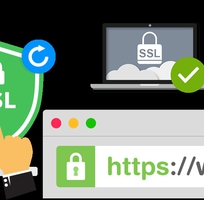 Cách cài đặt chứng chỉ SSL cho website WordPress dễ dàng