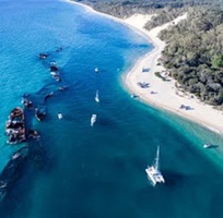 Du lịch hè Brisbane 2026 khám phá các mảng xanh