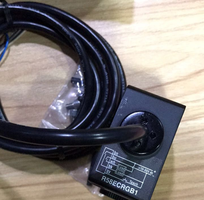 Cảm biến màu quang điện R58ECRGB1