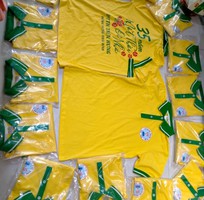 1 Áo Họp Lớp 2026