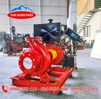 Máy bơm chữa cháy Diesel Stella STR80-250/55 55kW