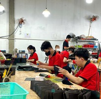 14 Ví - Thắt Lưng Da Bò Thật - Thời Trang Bền Vững