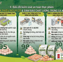 1 Toàn Tập Về Trứng gà Ai Cập: Đánh Giá Giá Trị Dinh Dưỡng Và Hướng Dẫn Mua Sắm Thông Thái
