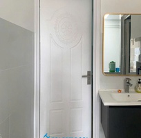 Cửa nhựa composite sơn PU Hoa Binh Door