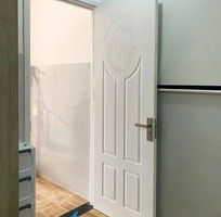 1 Cửa nhựa composite sơn PU Hoa Binh Door