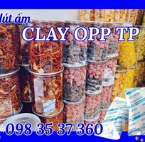 1 Gói hút ẩm Clay   Giữ đồ ăn vặt luôn giòn ngon, kéo dài thời gian bảo quản