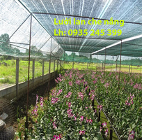 3 Lưới Lan Che Nắng Gía Rẻ