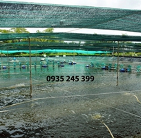 1 Lưới Lan Che Nắng Gía Rẻ