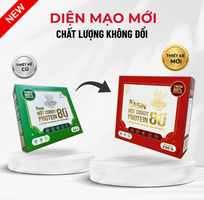 7 ASN Cordy Protein 80