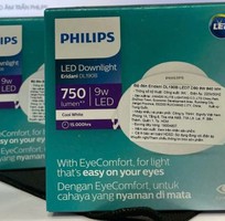 Nhà phân phối thiết bị chiếu sáng Philips chính hãng