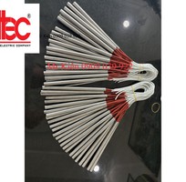 10 Điện trở đốt nóng Đình Thái