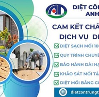 Công ty diệt mối uy tín, đảm bảo hiệu quả, giúp tiết kiệm chi phí