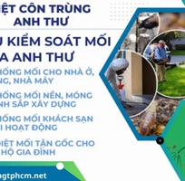 Vai trò của công ty diệt mối tphcm trong bảo vệ công trình