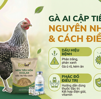 3 Bí Quyết Cấp Cứu gà Ai Cập Bị Rối Loạn Tiêu Hóa Dành Cho Người Khởi Nghiệp