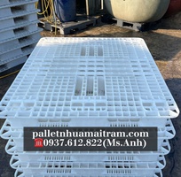  Cung Cấp Pallet Nhựa Màu Trắng  - Đẹp Mắt, Sạch Sẽ, Nhìn Là  Say Nắng   