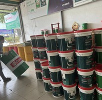 Đơn giá dầu nhớt Castrol, Shell, Saigon Petro, Mobil 2026