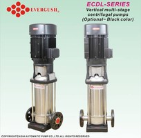 Bơm trục đứng Evergush ECDL