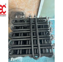 9 Điện trở đốt nóng Đình Thái