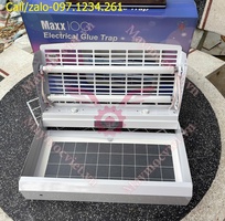 2 Đèn bắt muỗi Maxx 100 giá rẻ