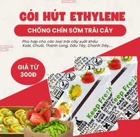 1 Gói Hút Ethylene Giữ Tươi Lâu Trái Cây   Xoài, Thanh Long, Chuối, Dâu Tây