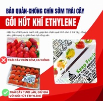 3 Gói Hút Ethylene Giữ Tươi Lâu Trái Cây   Xoài, Thanh Long, Chuối, Dâu Tây