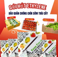 4 Gói Hút Ethylene Giữ Tươi Lâu Trái Cây   Xoài, Thanh Long, Chuối, Dâu Tây
