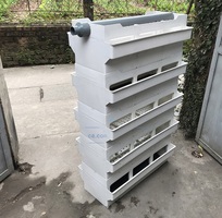 1 Máy Lọc Hồ Cá Có Thực Sự Quan Trọng Như Bạn Nghĩ