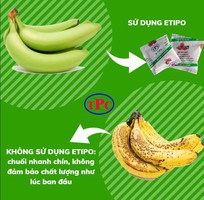 3 Gói chống chín cho trái cây