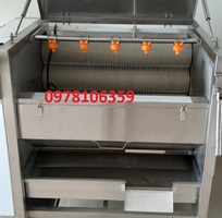 1 Máy rửa rau củ, máy rửa khoai lang-khoai môn, máy rửa chà vỏ