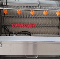 2 Máy rửa rau củ, máy rửa khoai lang-khoai môn, máy rửa chà vỏ