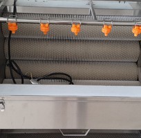 Máy rửa rau củ, máy rửa khoai lang-khoai môn, máy rửa chà vỏ
