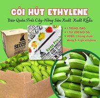 1 Gói Bảo Quản Trái Cây - Gói hút khí Ethylene Secco 5g