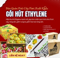 Gói Bảo Quản Trái Cây - Gói hút khí Ethylene Secco 5g