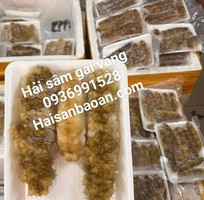 Cần bán hải sâm ngon giá tốt