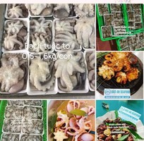Bạch tuộc tươi ngon giá tốt