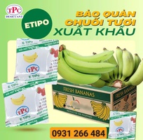 8 Gói chống chín trái cây  hút khí ethylene