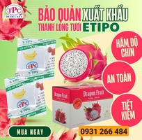 5 Gói chống chín trái cây  hút khí ethylene