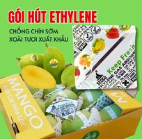Cách sử dụng gói hút khí Ethylene Secco 5g hiệu quả cho Xoài