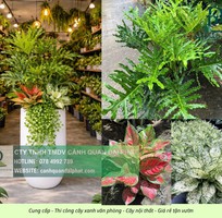1 Thiết kế thi công cây xanh văn phòng Long Thành Đồng Nai