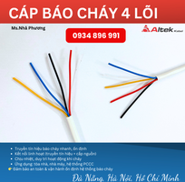 Cáp báo cháy 4 lõi chất lượng tiêu chuẩn cho hệ thống PCCC tại Huế, Quảng Trị