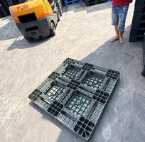 7  Pallet Nhựa Bà Rịa - Vũng Tàu: Giá Tại Kho - Giao Nhanh Trong Ngày 