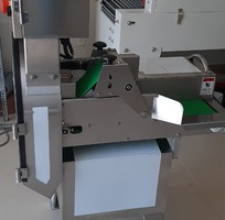 2 Máy thái lát cùi bưởi, máy thái lát sả cây, máy thái lá hành, máy thái rau công suất lớn