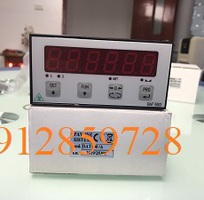 Đầu cân DAT500  profibus, xuất xứ pavone Italy