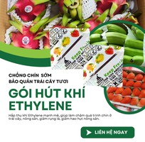 1 Gói hút khí Ethylene Secco 5g   Bí quyết giữ Chuối xanh lâu, không thâm vỏ