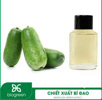 Cung cấp Chiết xuất Bí đao dưỡng ẩm, mờ thâm hiệu quả