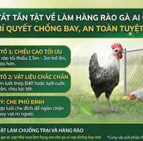 3 Hướng Dẫn Chi Tiết Cách Làm Hàng Rào Chống Bay Cho gà Ai Cập Bền Vững