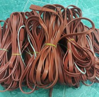 2 Dây điện trở silicon