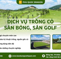 Trồng Cỏ Cảnh Quan Giá Rẻ ở Đồng Nai, TP.HCM