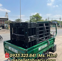2  Pallet Nhựa Bến Tre - Chịu Lực Cực Khỏe, Giá Rẻ Hết Hồn  